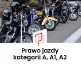 Rząd motocykli, od czarnych po żółty, gotowych do jazdy. Idealne do zdobycia prawa jazdy kategorii A, A1, A2.