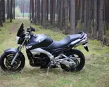 Suzuki GSX 600 F dane techniczne: czarny motocykl stoi na leśnej ścieżce, otoczony sosnami.