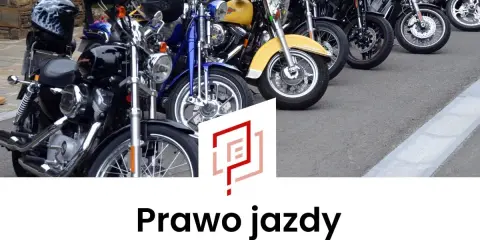 Rząd motocykli, od czarnych po żółty, gotowych do jazdy. Idealne do zdobycia prawa jazdy kategorii A, A1, A2.