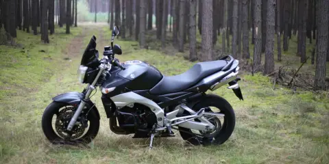 Suzuki GSX 600 F dane techniczne: czarny motocykl stoi na leśnej ścieżce, otoczony sosnami.