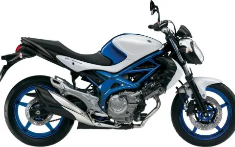 Suzuki Gladius 650 waga - lekki i zwinny motocykl w białym i niebieskim malowaniu, gotowy do jazdy.