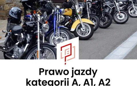 Rząd motocykli, od czarnych po żółty, gotowych do jazdy. Idealne do zdobycia prawa jazdy kategorii A, A1, A2.