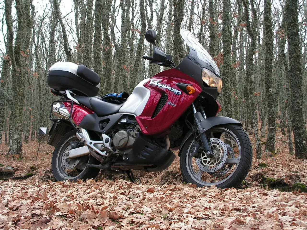Czerwony motocykl Honda Varadero XL 1000 z kufrem, zaparkowany wśród drzew w jesiennym lesie.