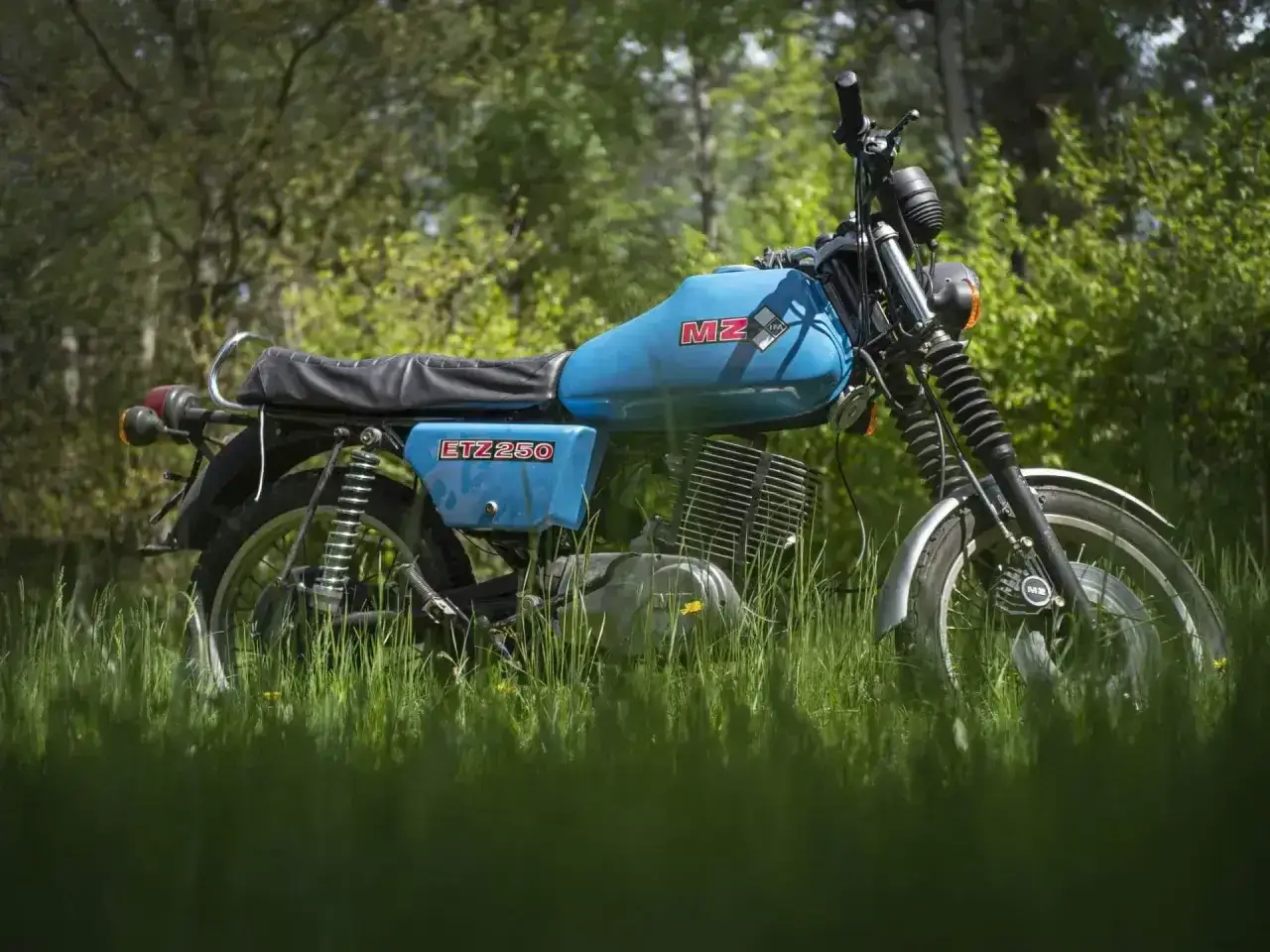Niebieski MZ ETZ 250 w trawie. Poznaj dane techniczne tego klasyka motoryzacji.